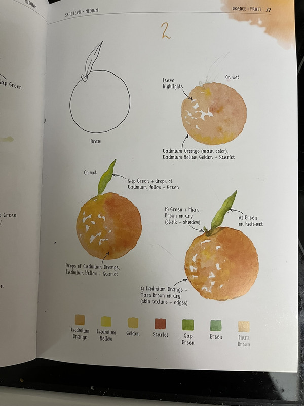 orangetubewatercolor
