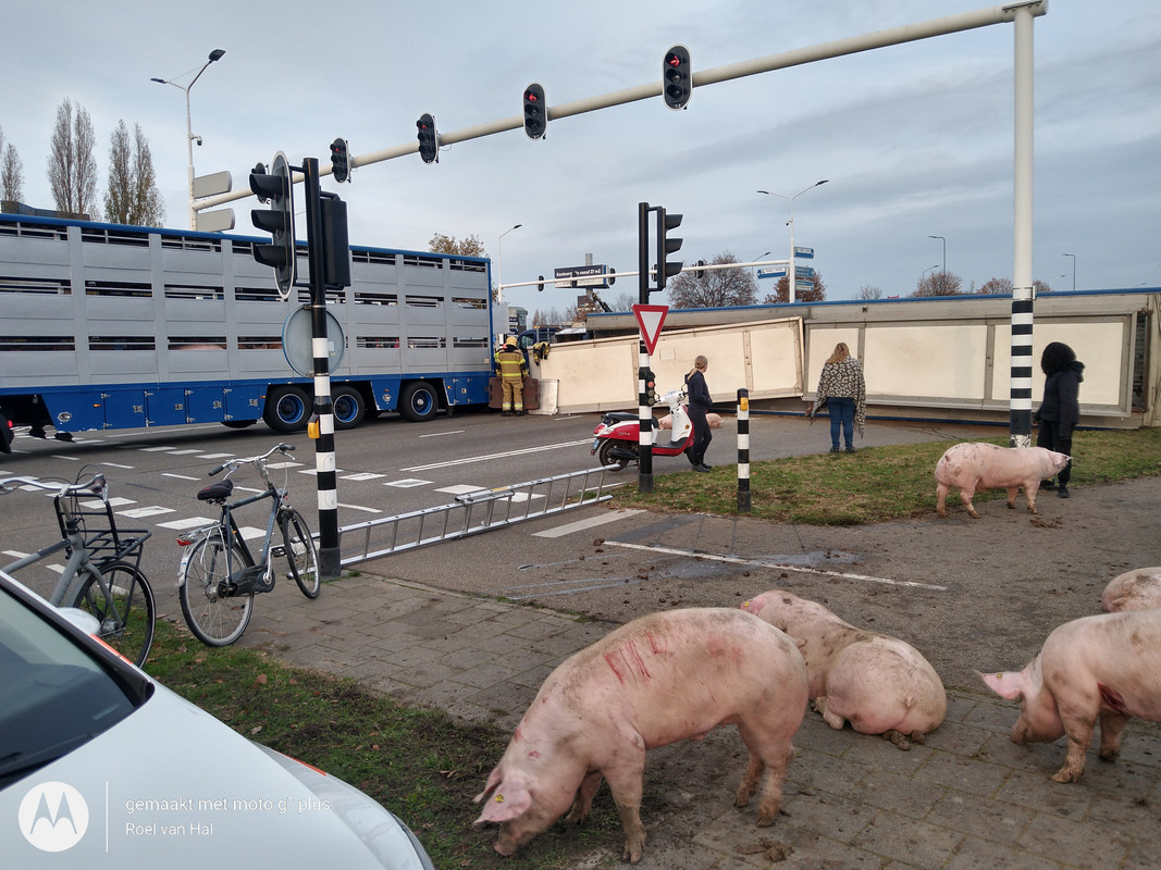 IMG_20201125_145317761_HDR