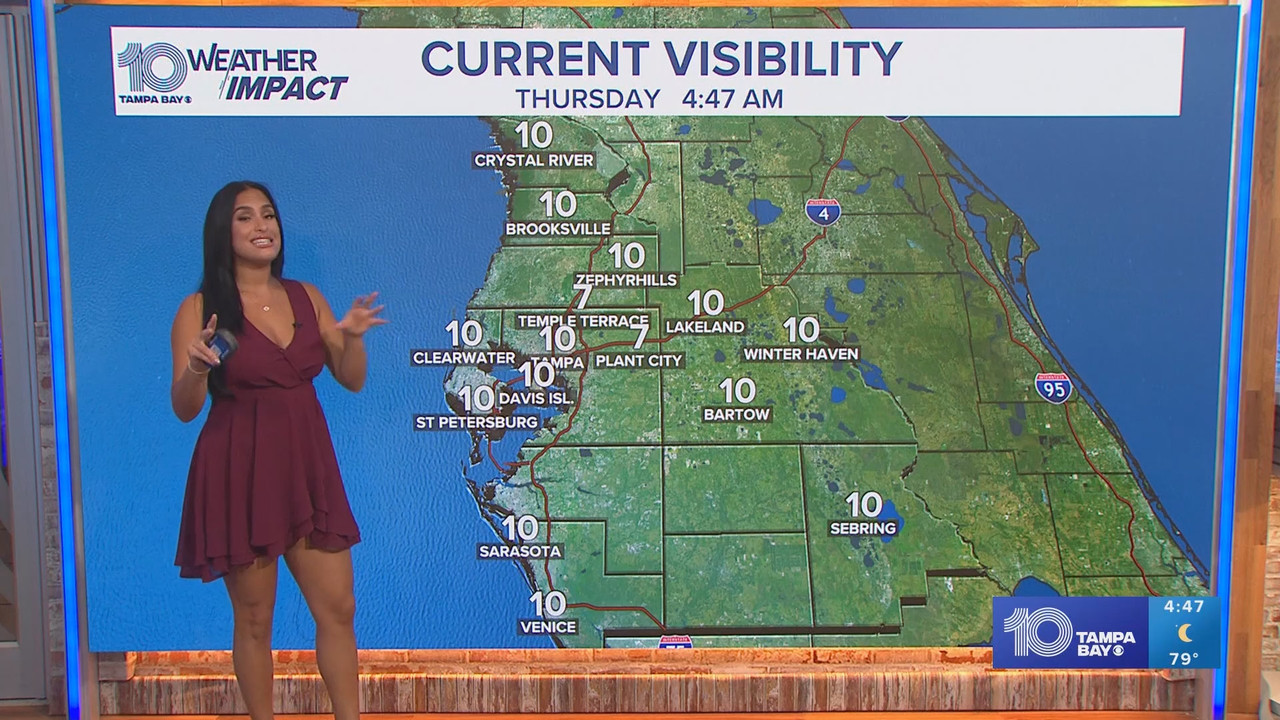 10 Tampa Bay Brightside at 430am_20240718_09301000.ts_snapshot_18.35.673