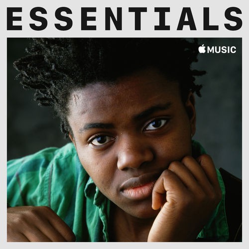 Tracy Chapman - Essentials (2019) .mp3 -320 Kbps