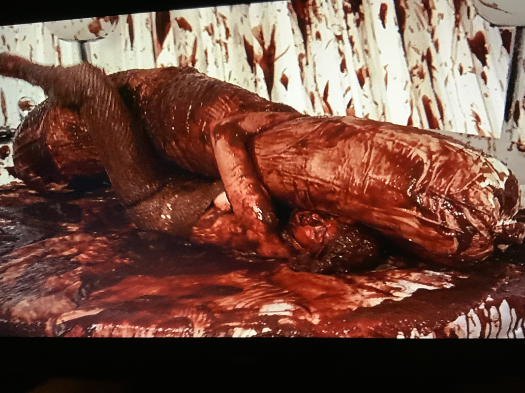 3BAE4D8F-2B5B-4692-ACCB-2B8A174F3BF5