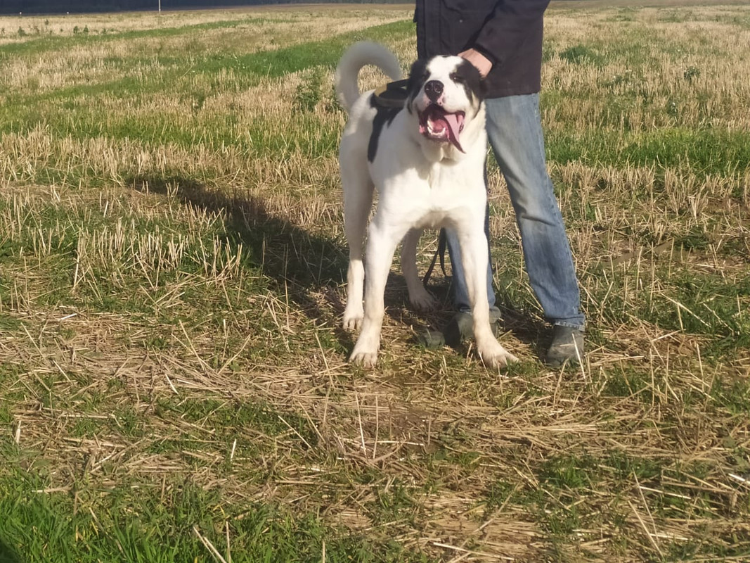 IMG-20200919-WA0005 - копия