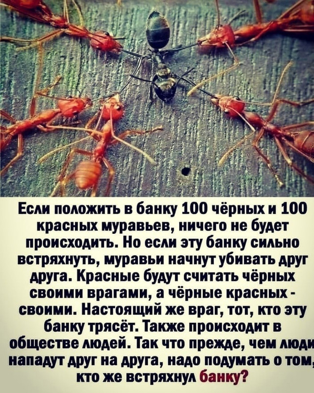 Owjgg-i6lFQGnmYWs1ayPe7SUz9G6AgezqDN7Rpc2U7_e_yiAr2ybKiwUwCsUcJPeZ7x6z4EUFUNdXgyQMMTby05