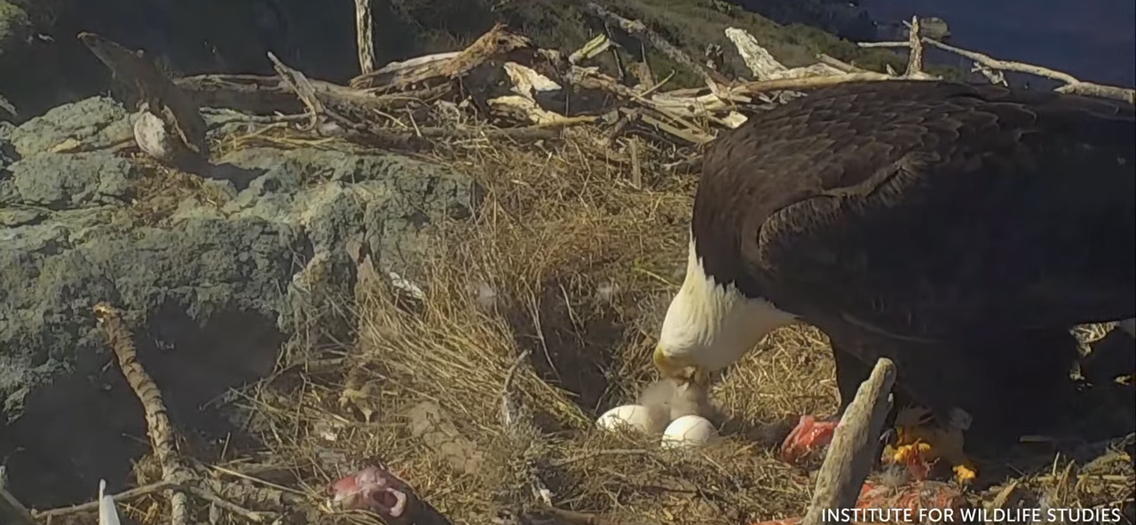 78D52AB7-1752-4544-AB0A-24EE7D97786F