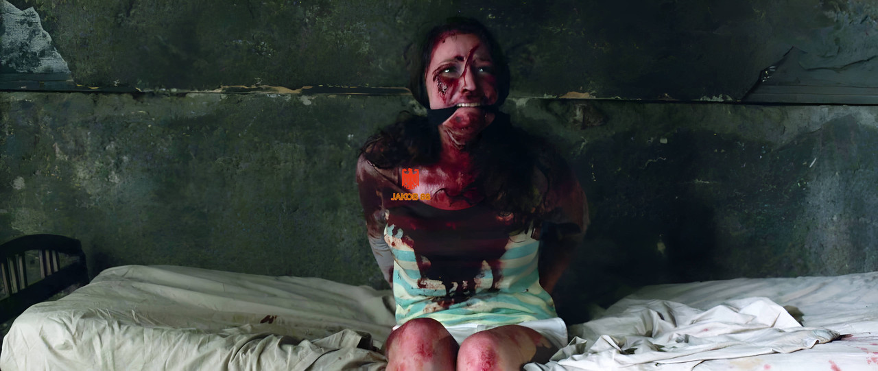 Hannah Emerson 2 - Blood is Blood 2016