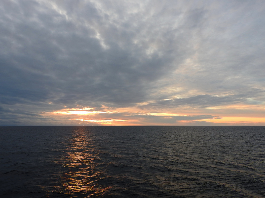 DSCN6225.jpg
