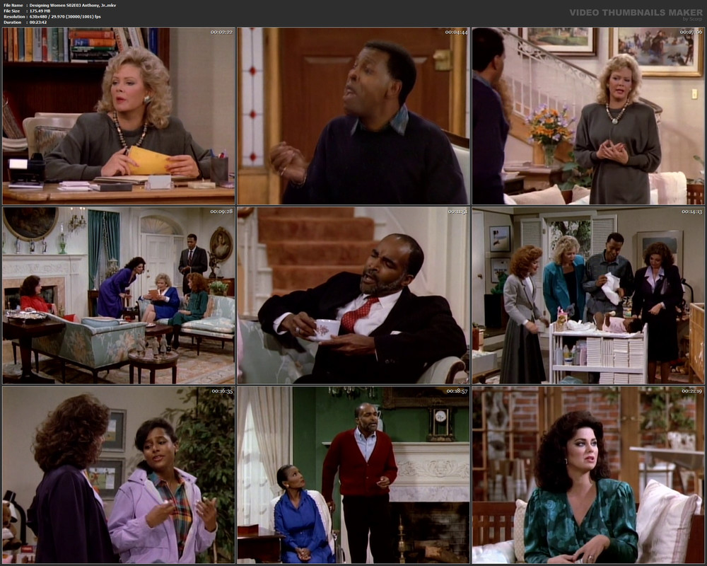 Designing Women S02E03 Anthony, Jr..mkv