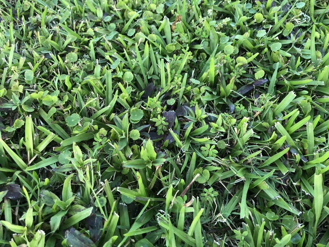 5A377DA5-C6E9-49CC-A620-D53E8207D9EC