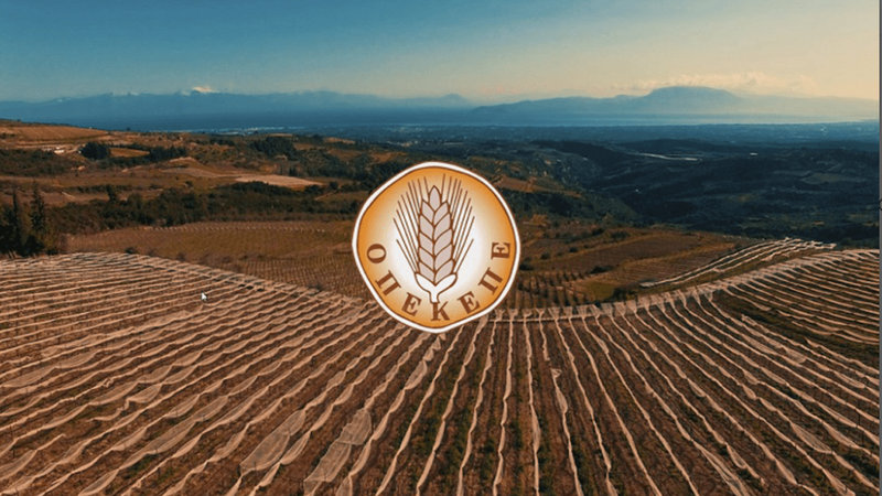 κοζάνη, ειδήσεις, νέα, Πτολεμαΐδα 