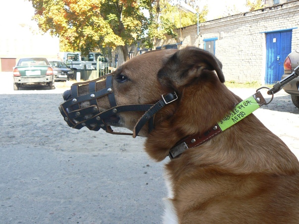 CEF89C4F-3448-4A1A-8A7E-5F61BEA64F64