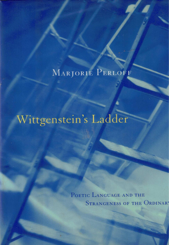 Wittgensteins's Ladder