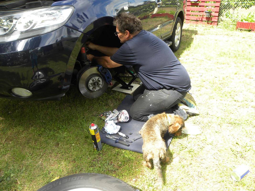 [Image: DSCN9495.jpg]