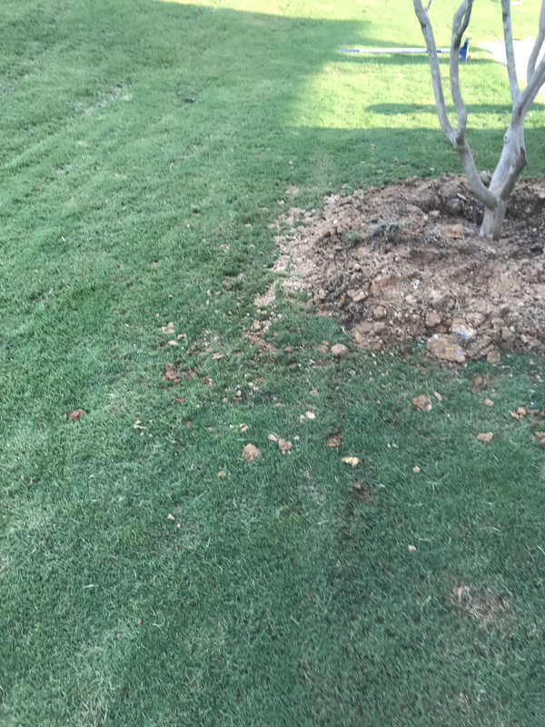 7F06D41E-6D5D-4FCD-B19B-9C1585DD34F0