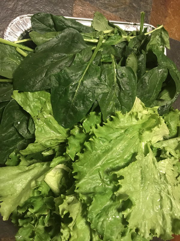 F6627D77-F4FE-422F-82CC-465080AE98C4