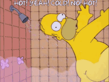 the-simpsons-homer-simpson