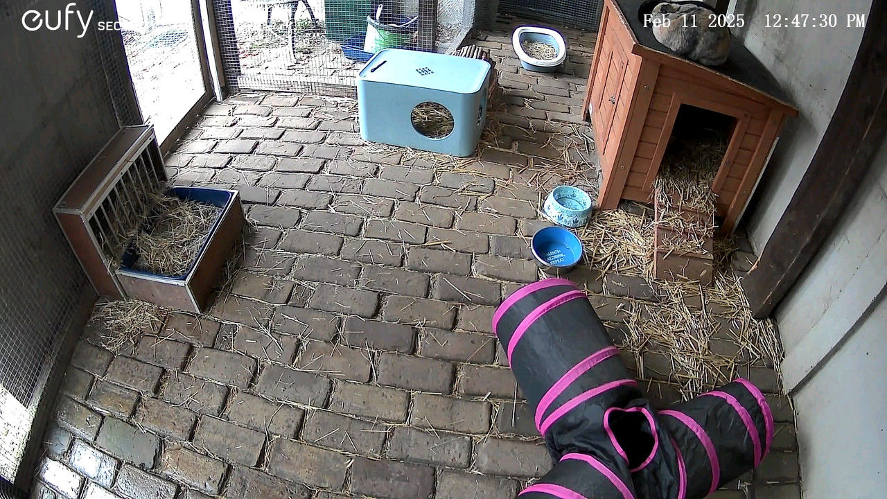 2025-02-11-12-47-34.jpg