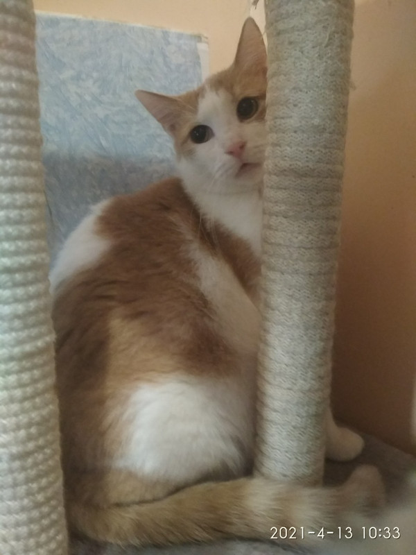 IMG-97dc385ed241d48b62a208bf3ba27a45-V