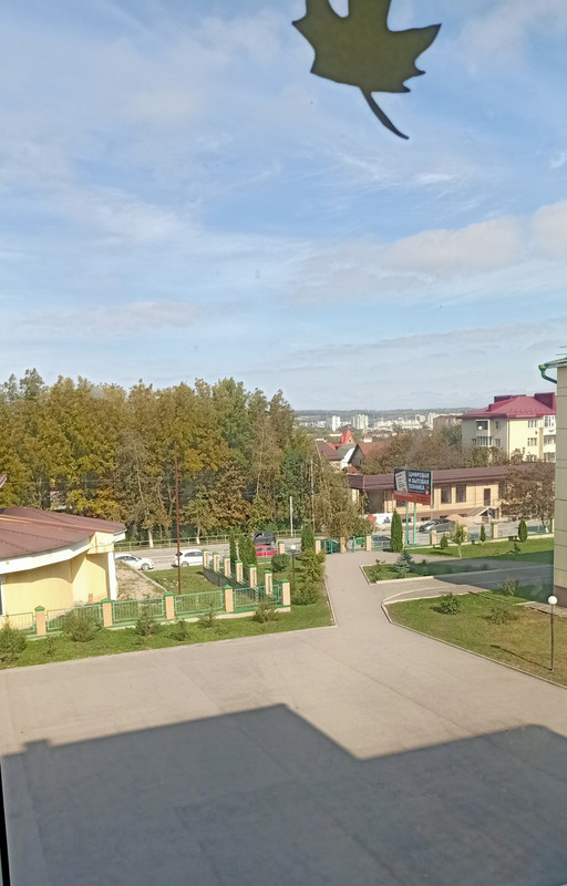 IMG-20211012-185550.jpg