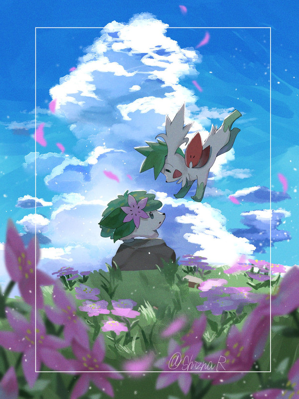 shaymin-shaymin-and-shaymin-pokemon-draw