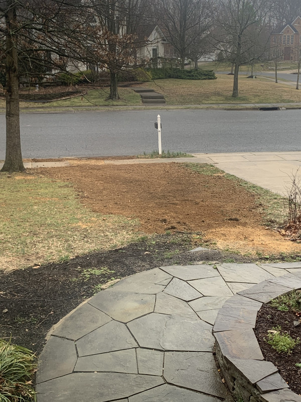 E629A1ED-3AE9-4AB2-9CF2-68BCA1CE7909