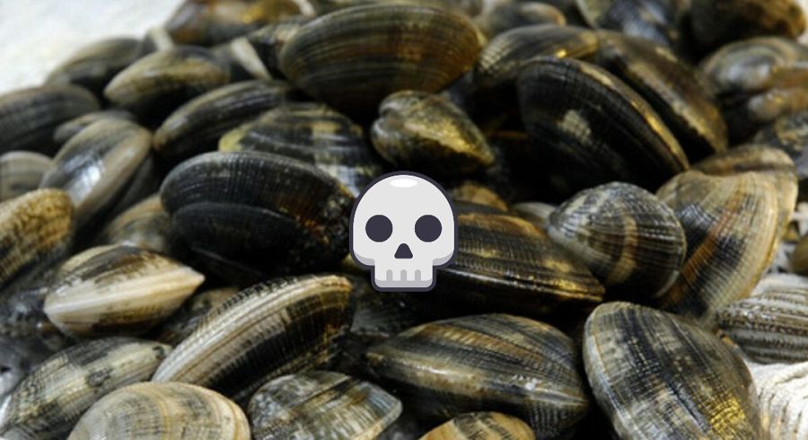 Allerta su vongole veraci nostrane contaminate da tossine