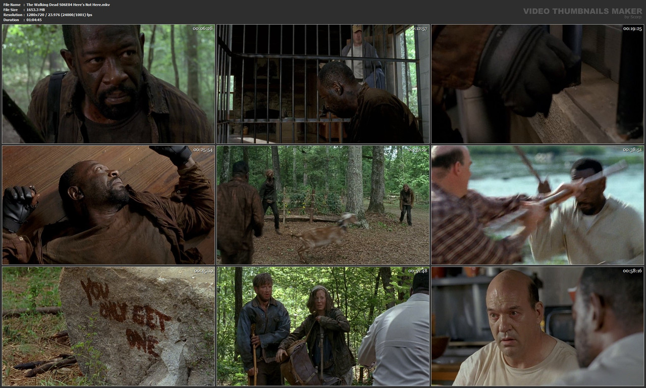 The Walking Dead S06E04 Here's Not Here.mkv