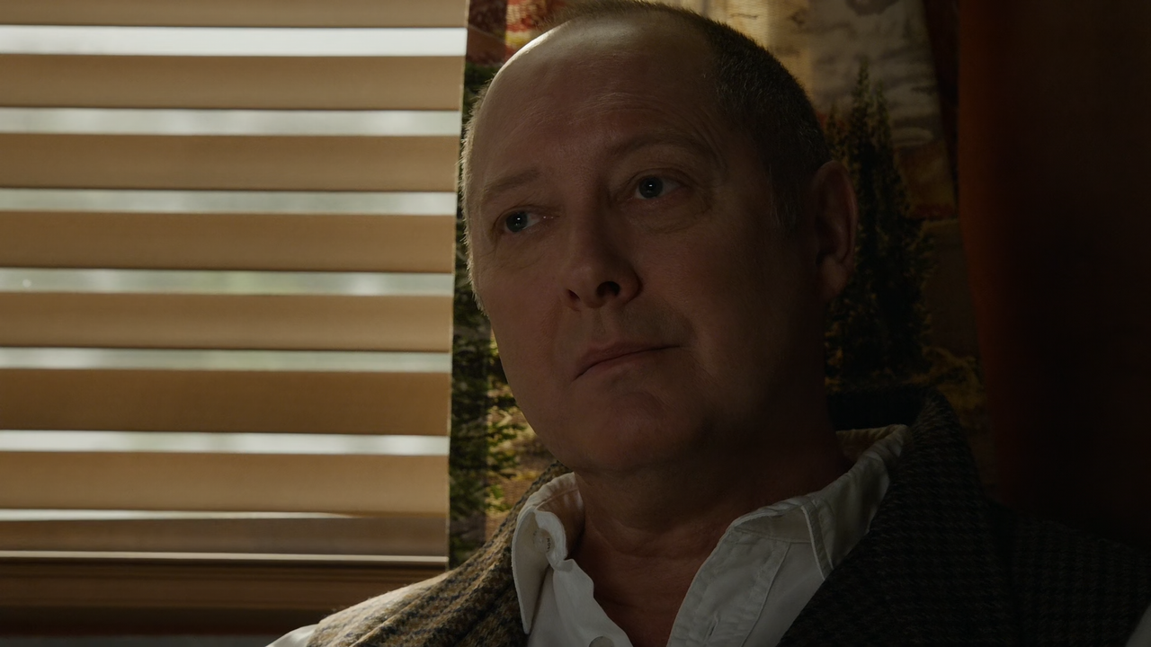 The.Blacklist.S09E08.Dr.Razmik.Meier.1080p.10bit.AMZN.WEB-DL.DDP5.1.HEVC-Vyndros.mkv_snapshot_05.02_