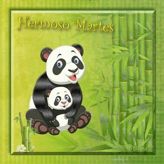 Serie Flia: Madre e Hijo, los Osos Pandas  Martes