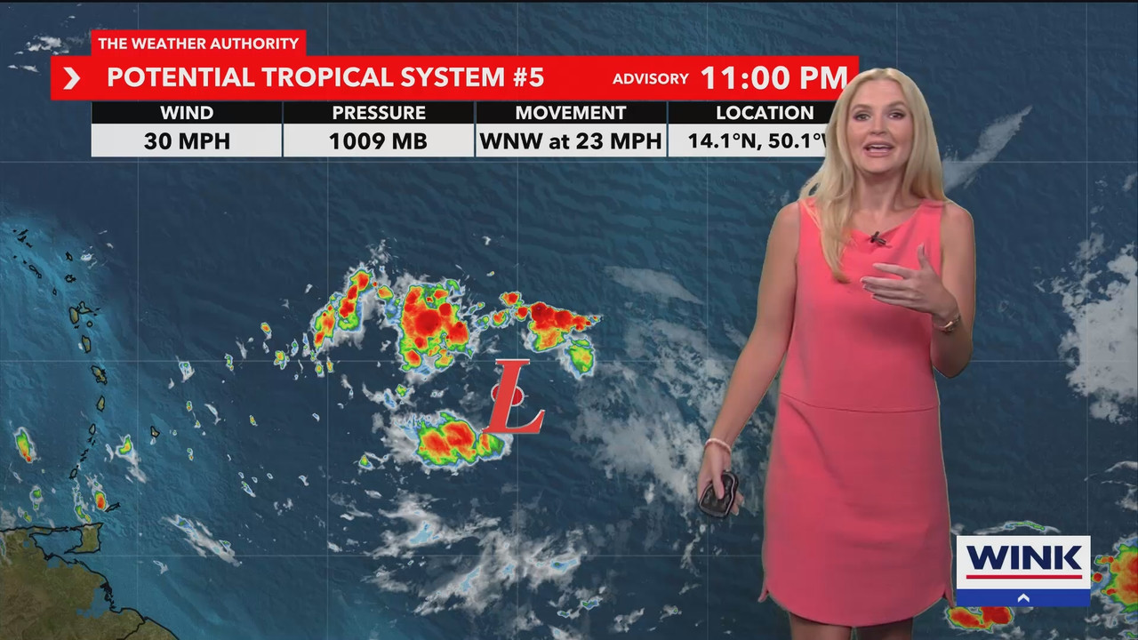 08.12 - 04.00.00 - WINK Weekend News at 11PM Sunday  ᴺᵉʷ. No Descript....ts_snapshot_00.50.58.286