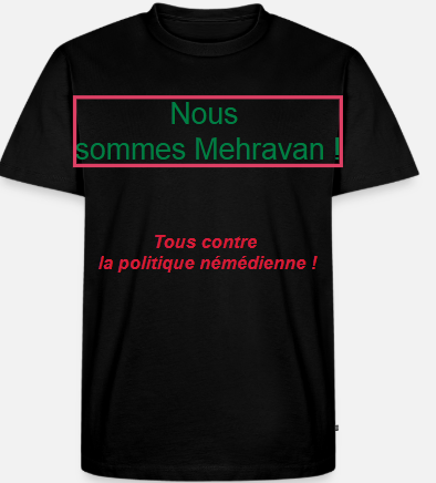 https://i.postimg.cc/4Nwws7jM/Capture-d-cran-2025-06-22-013127.png
