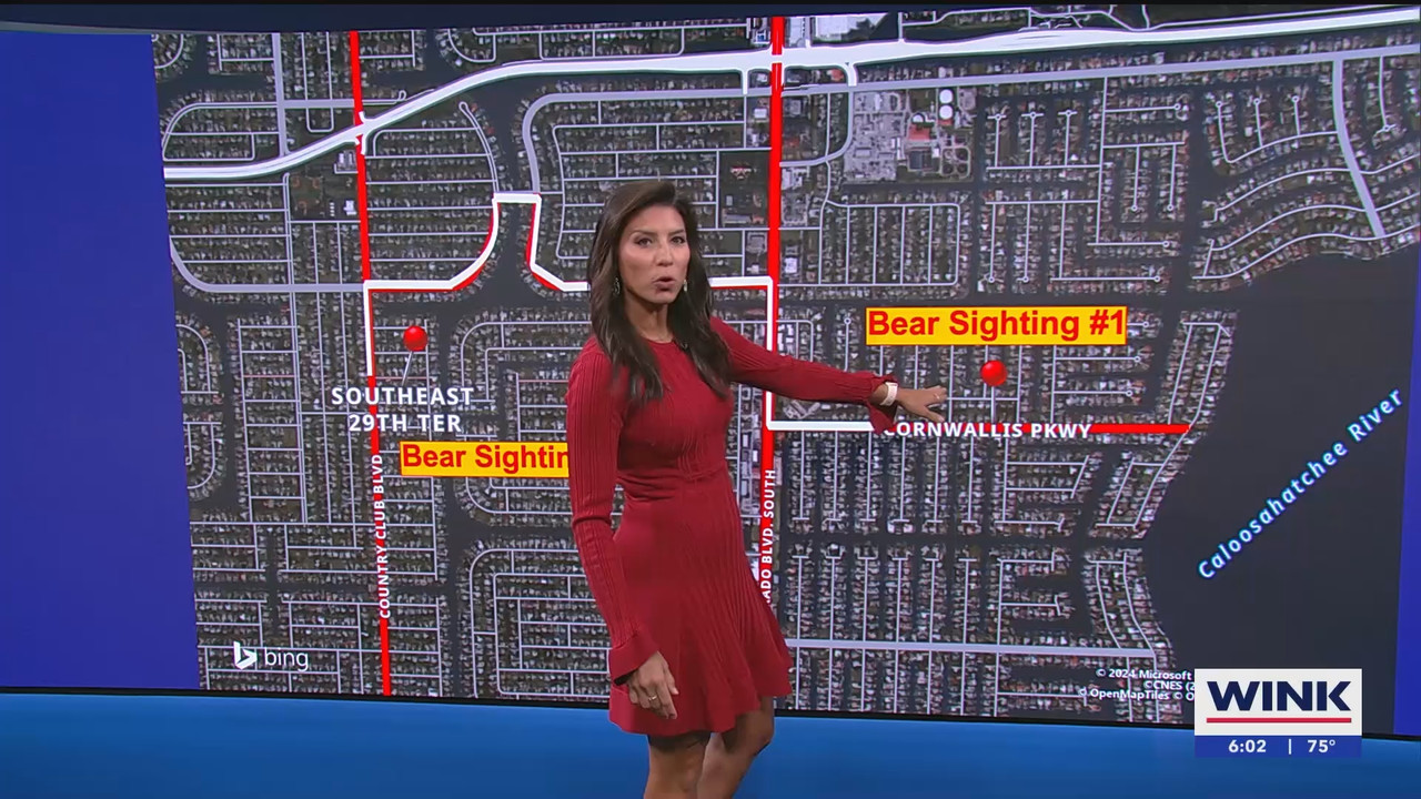 06.24 - 11.00.00 - WINK News at 6 00am  ᴺᵉʷ. Morning news coverage..ts_snapshot_03.27.620