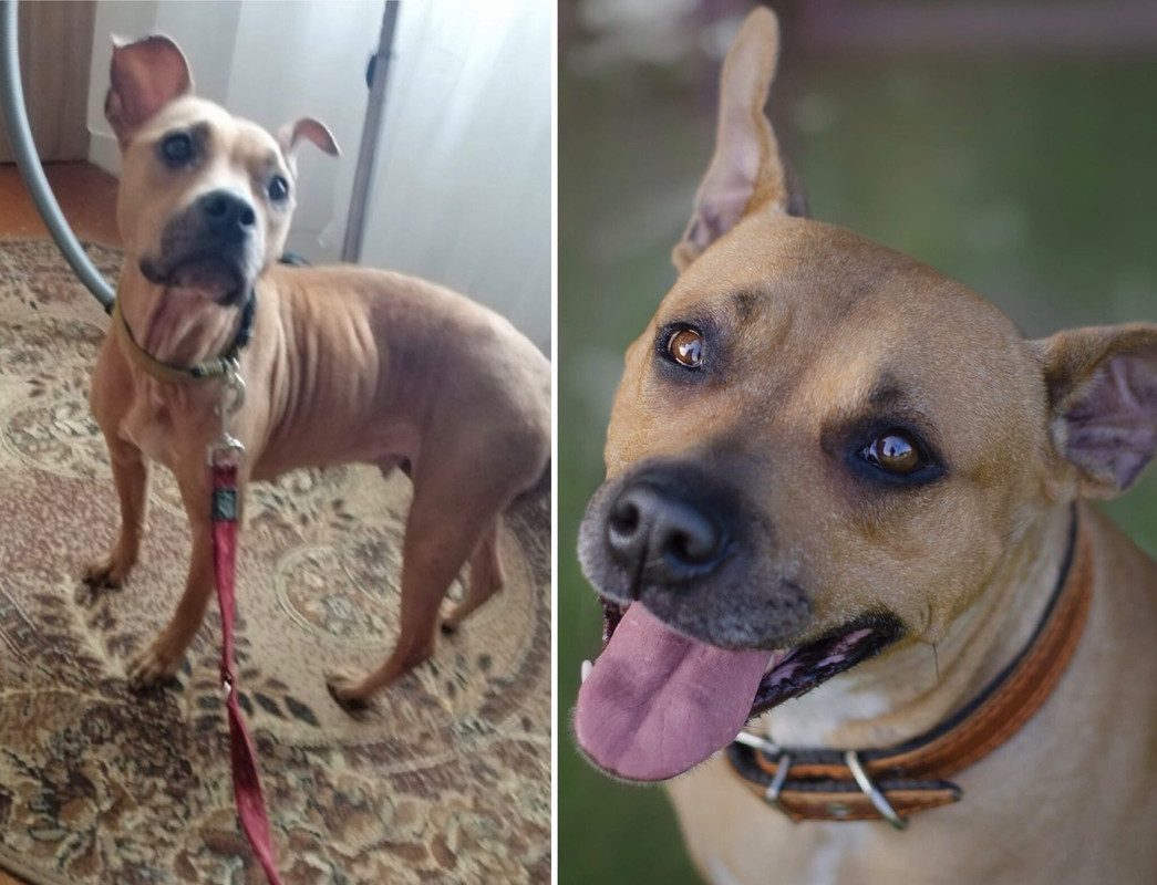 544EFFCE-DE91-4D0D-844D-7D0212D2F09B