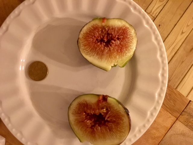 E067728E-304C-4F31-82E6-77A422B40144