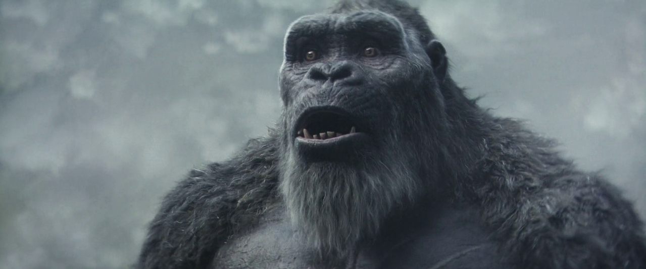 vlcsnap 2025 12 11 19h16m05s395