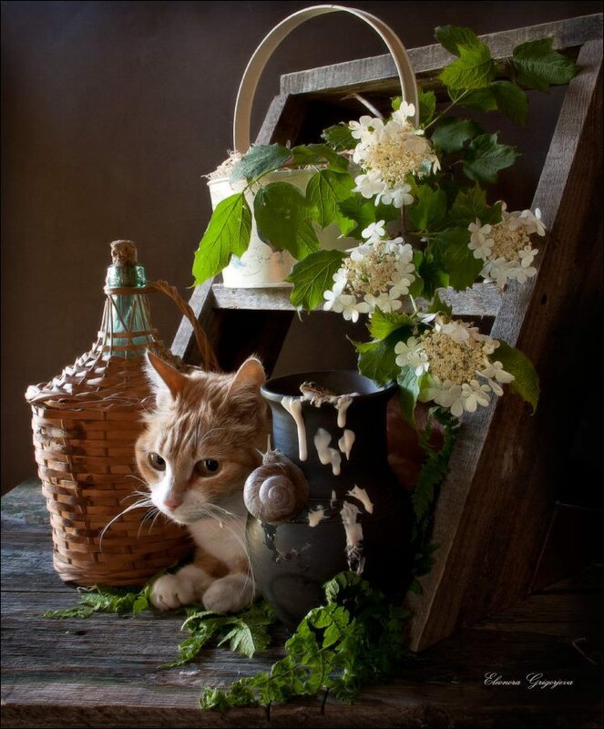 01403371-577631755673625-3820836082809759677-n