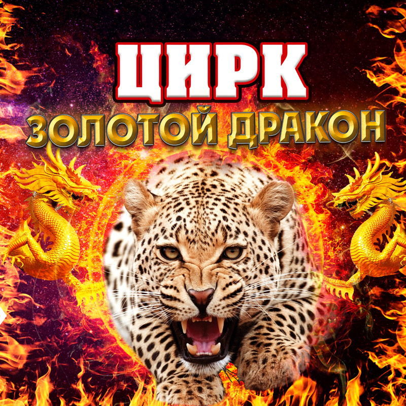 Кейс продажа билетов на цирк