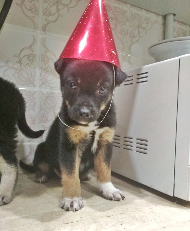 3FDAA01A-62A5-4487-BFD4-7CAC9AA362E1