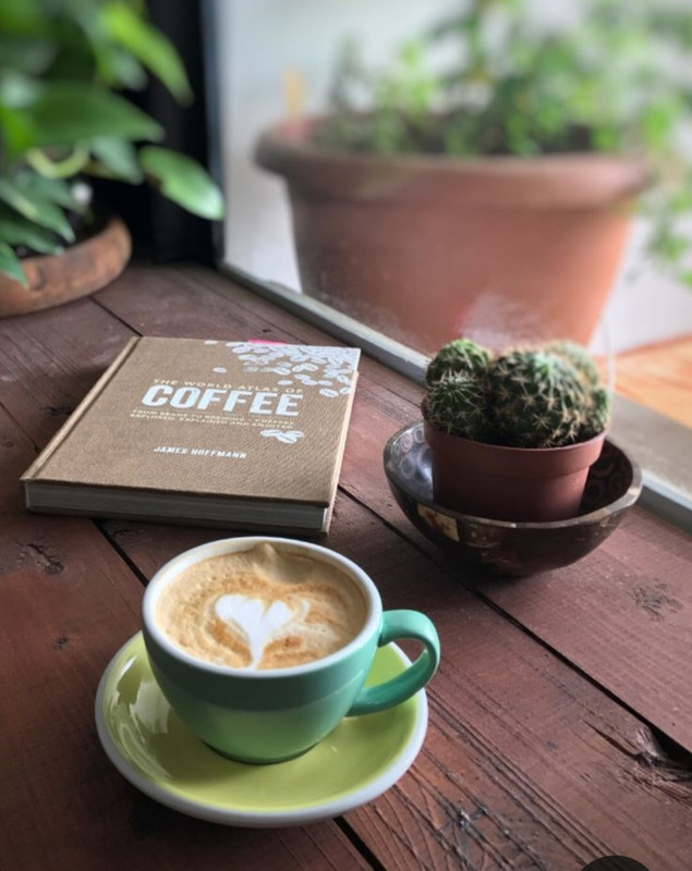 Screenshot_20230315_225659_Pinterest