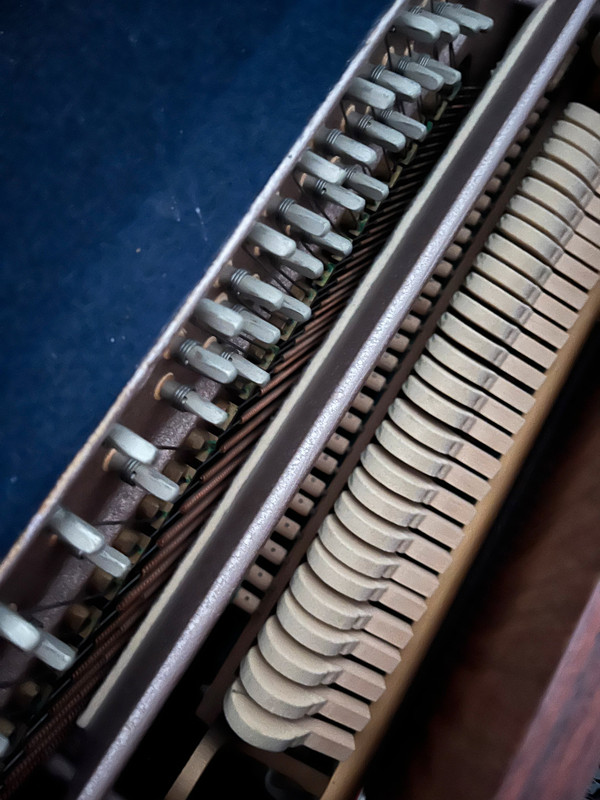 54cbdc6c-60b8-11ef-abc9-573de3042ee3