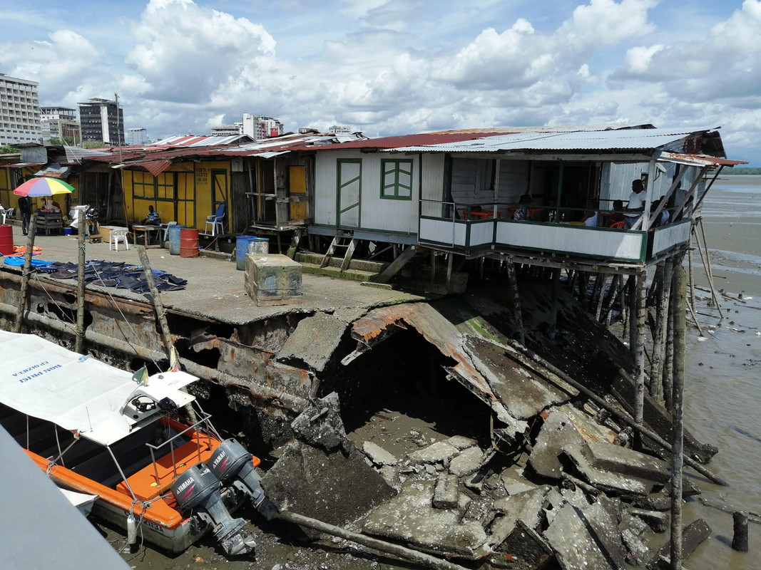 Colombia por libre en 18 días - Blogs de Colombia - Avistamiento de Ballenas en Buenaventura (8)