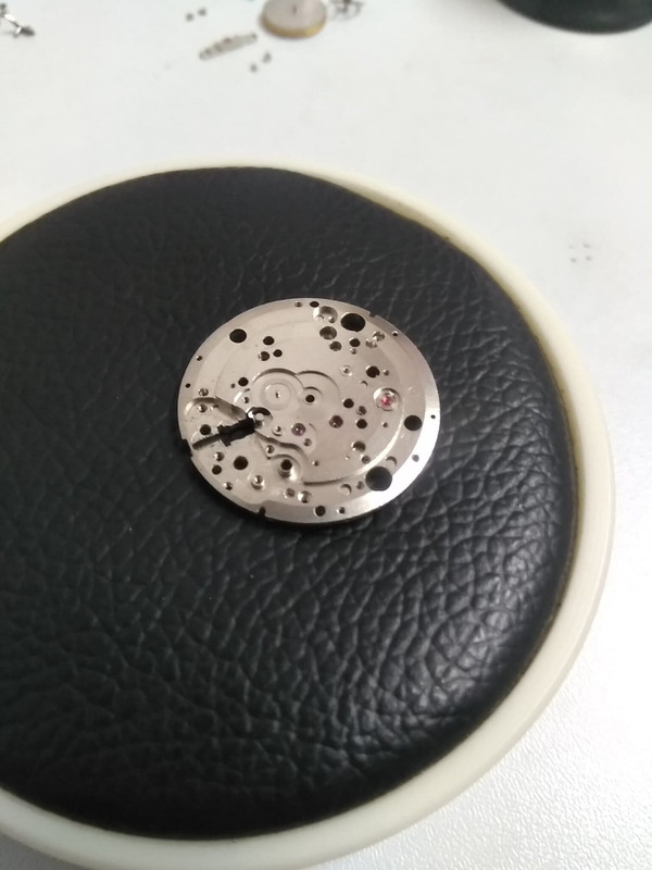 69309576_2618640688159896_8915424058552614912_n