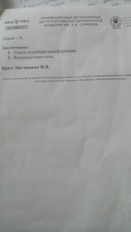 IMG-20230305-WA0005