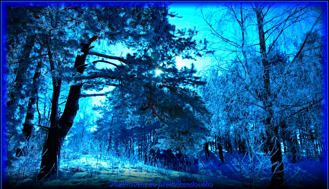 winter-snow-trees-frost-shadow-sun-tale-48030-1920x1200.jpg