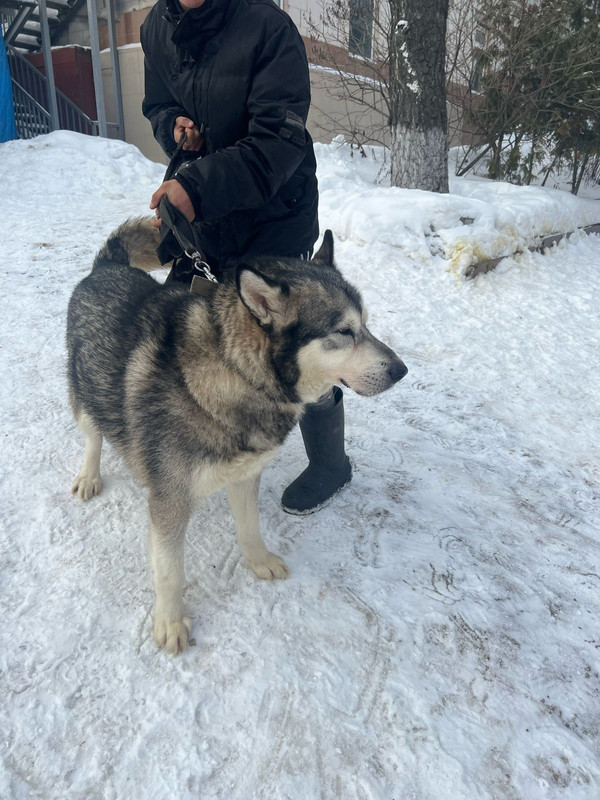 WhatsApp Image 2024-02-13 at 13.27.51 (2)