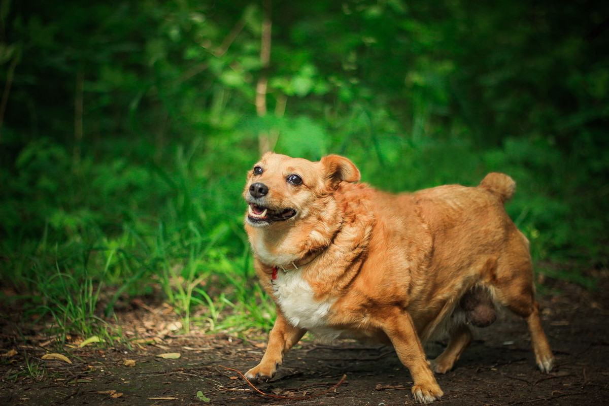 628AE9E3-01E8-4BF9-A6A8-19D7E468F6B5