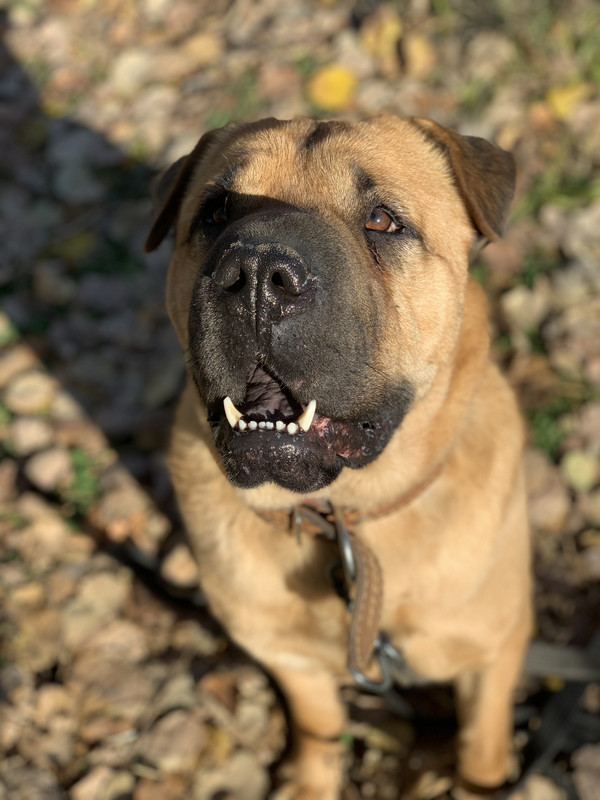 2F311BAC-B84E-4310-8EB7-4EC800191411