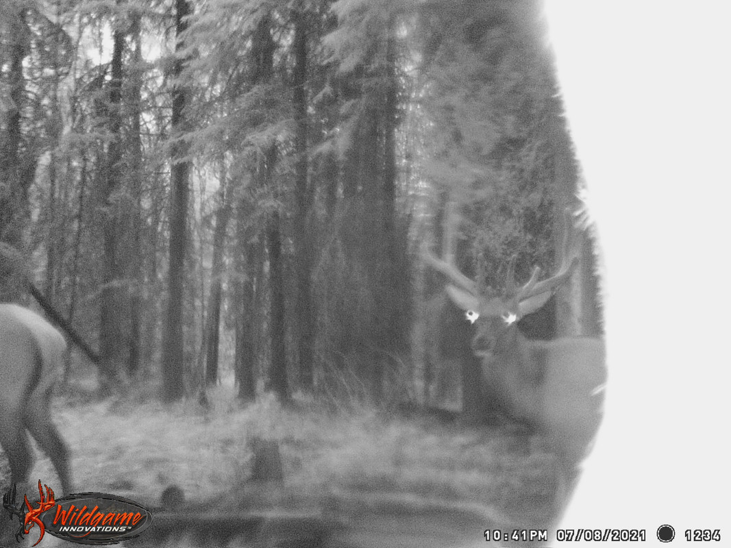 CFD79E7C-91AF-4047-98AF-0B4DD2BD16ED