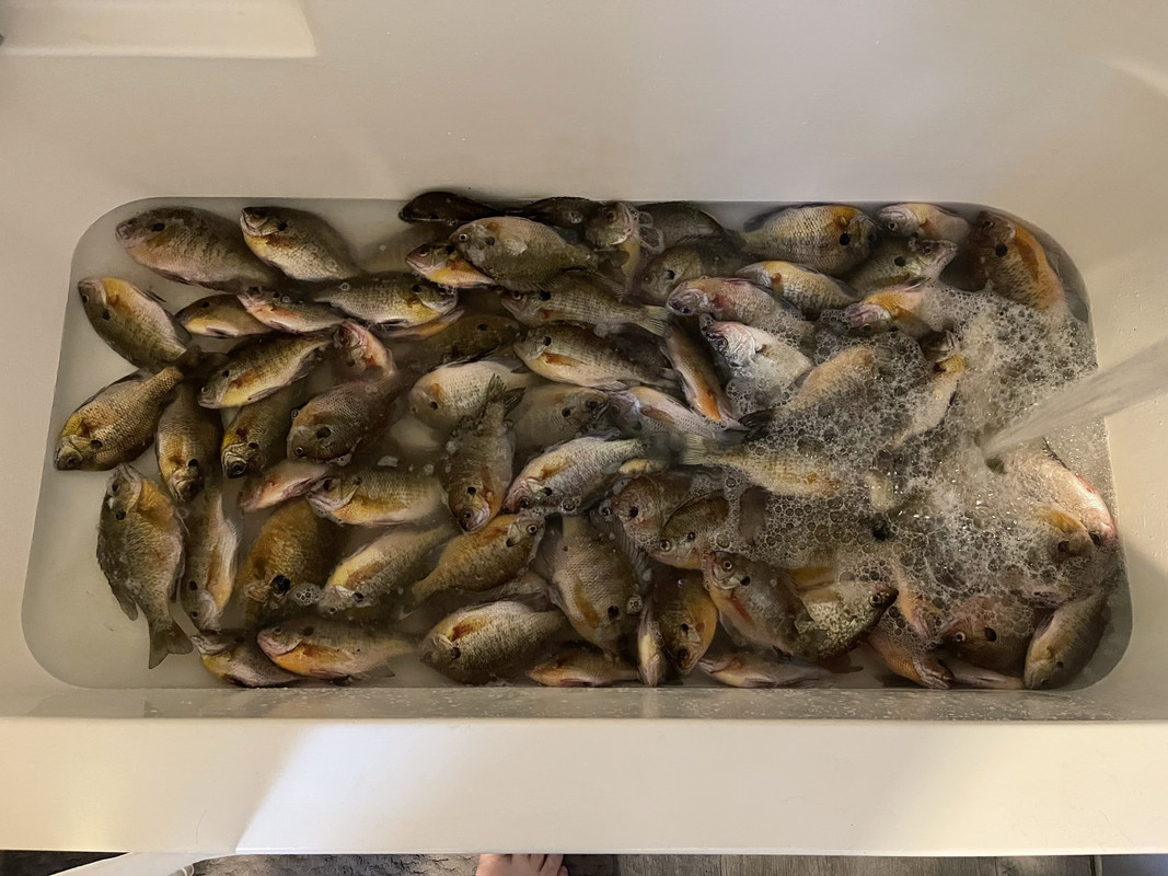 EDF3CFCA-2E7C-4565-8CB8-DB9C219DF2D6