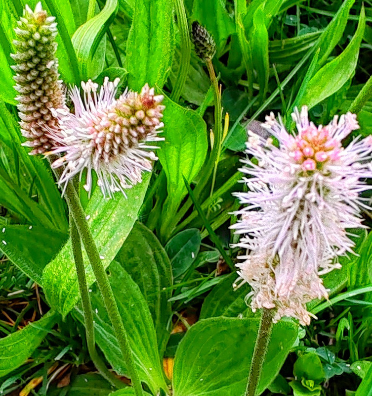 IMG 20260413 190143BB