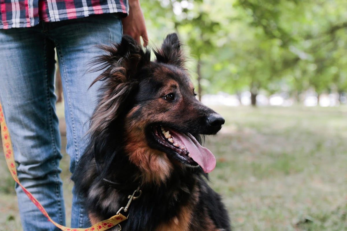 AFA3B1D4-DA05-4F14-BEF4-F4C1EE37B9E9